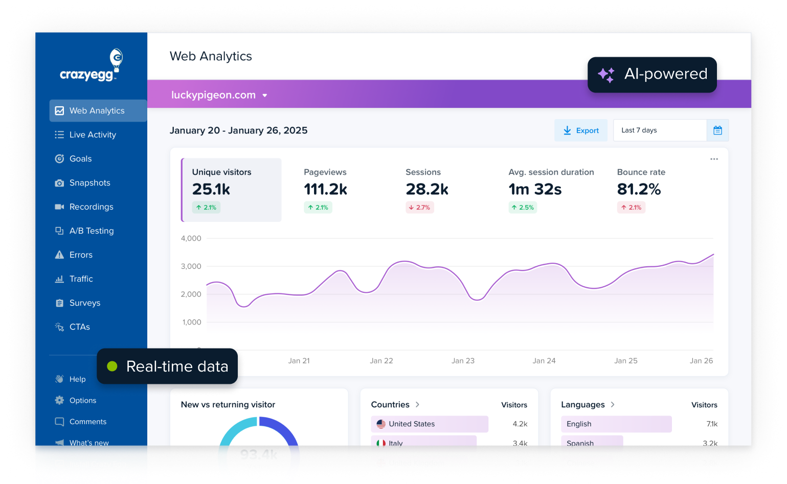 Real-time Web Analytics reports with traffic trends and AI insights